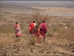 Climate change theatens Masaai herders News Clip