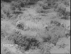 Final Battle Between British And French In Syria News Clip