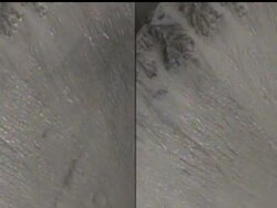A provocative new study of photographs taken from orbit suggests that liquid water flowed on the surface of Mars as recently as several years ago, raising the possibility that the Red Planet could harbor an environment favorable to life. Instructional Video