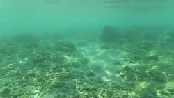 Rock Sea World Stock Footage