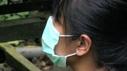 VOICED: French crusader for gibbons in Borneo jungle News Clip