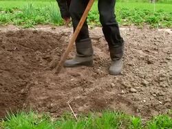 Digging the soil Stock Footage