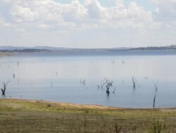 Remote area Lake Hume near Wodonga in Victoria Australia Stock Footage