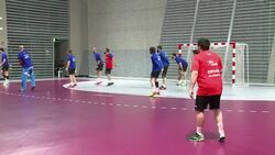 CLEAN : Handball World Cup: France heads to final unbeaten News Clip
