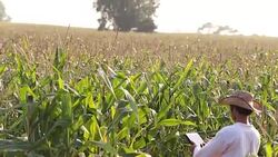 Smart Farmer Stock Footage