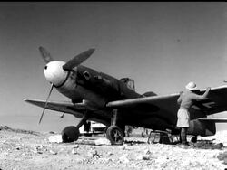 THE MOSQUITO - News Clip