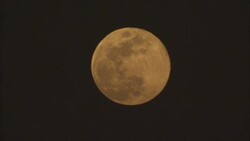 A full moon glows in the night sky. Stock Footage