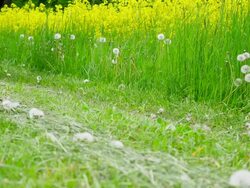 Riding Electric Mountain Bike Medium Shot (4K/UHD to HD) Stock Footage