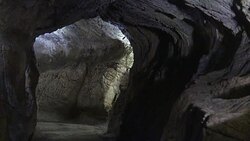 VOICED : Cuevas en Belgica prueban canibalismo de hombres de Neandertal News Clip