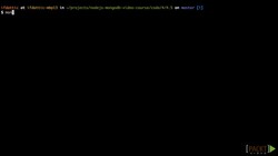 Web Development with Node.JS and MongoDB (Video 20) Instructional Video