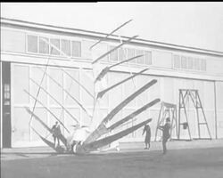 BIRDMEN RALLY News Clip