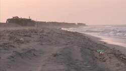 Beach & Palm Trees on Zuwarah Beach News Clip