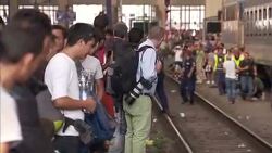 Migrants and Hungarian police at Keleti Station News Clip