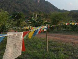Landscape flags Stock Footage