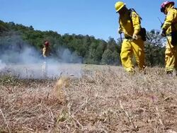 California Firefighters Undergo Training For Controlled Burns During Wildfires Stock Footage