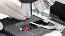 Scientist is using with microscope Stock Footage