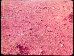 Sahara, Algeria, 1954 - Desert scenes and Bedouin settlements in the Sahara Stock Footage