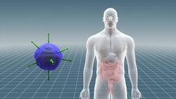 Olympic Games 2016: Rio de Janeiro's polluted waters might put athletes' health at risk Instructional Video