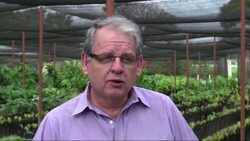 Agronomist uses GM technology to make plants resistant to fungi News Clip