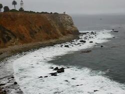 Point Vicente Lighthouse in fog Stock Footage