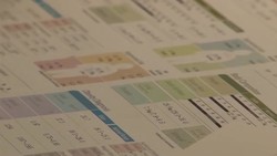 Battling the bulge in Dubai as obesity rates rise News Clip