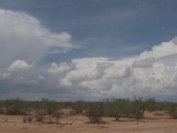 PAN left across Sonoran Desert, scrub in foreground, mountains in distance. Arizona , USA Stock Footage