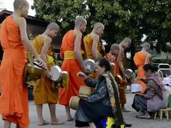 MS Buddhist Monks collecting alms in morning  AUDIO / Luang Prabang, Luang Prabang, Laos Stock Footage