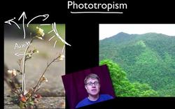 Behavior and Natural Selection Instructional Video