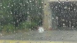 Water droplets Stock Footage