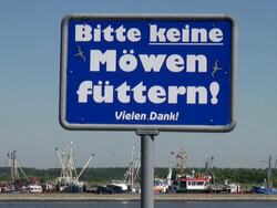 MS Shot of sign board (don't feed seagulls), North Sea North Frisia, / Tonning, Schleswig Holstein, Germany Stock Footage