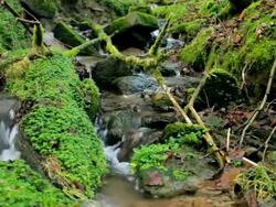 Small Creek Stock Footage