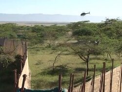 CLEAN: Kenya rounds up prey for starving lions News Clip