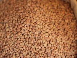 CU Shot of sack of dried black eyed peas in sack for sale at Medina stall / Fez, Fes-Boulemane, Morocco Stock Footage