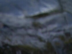 Water in Creek Stock Footage