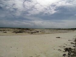 Beach in Zanzibar at low tide Stock Footage