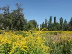 beautiful landscape Stock Footage