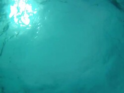 Deep Underwater Stock Footage