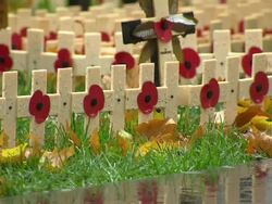 Military Charities Decorate Westminster Abbey ahead of Remembrance Sunday News Clip