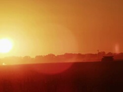 Dramatic red-orange sunset, a combine harvests corn crop. Stock Footage