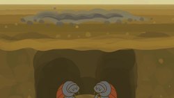 TED-ED: Why isn't the world covered in poop? - Eleanor Slade and Paul Manning Instructional Video