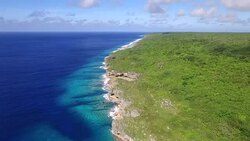 Rising view of Niue Coastline Stock Footage