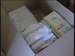 Red Cross mounts aid operation for quake victims News Clip