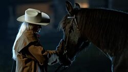 SLO MO TD Woman stroking her horse in the evening Stock Footage