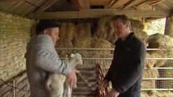 David Cameron feeding a lamb News Clip