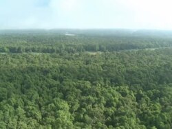 Aerial rainforest and river, Maliau Basin, Sabah, Malaysia, Borneo Stock Footage