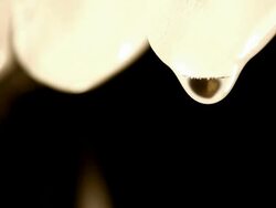 Ice Melting Stock Footage