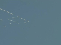 Sky writing 1 Stock Footage