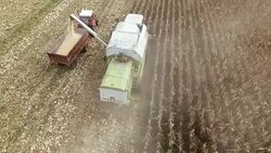 Harvester Work on Cornfield Stock Footage