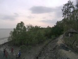 WS TD TU Men digging mud on riverbank and building  retaining wall /, India Stock Footage