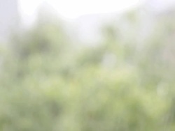 Rainy day Stock Footage